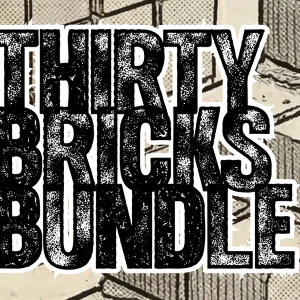 Thirty Bricks Bundle cover